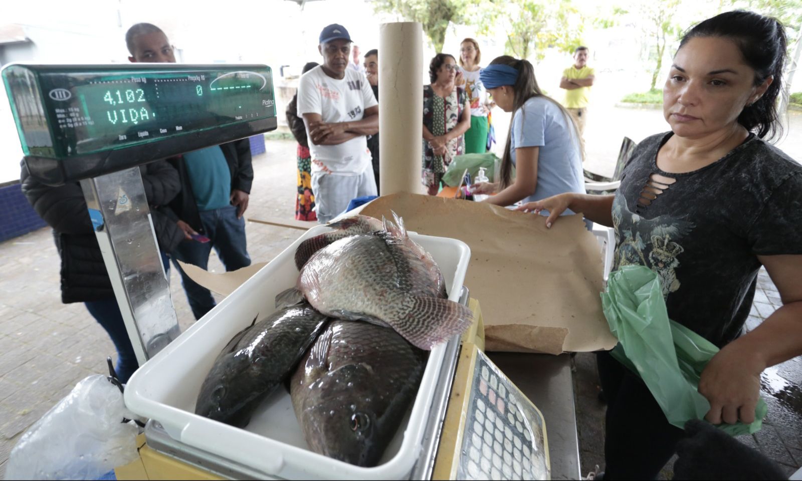 Joinville terá Feira do Peixe Vivo nesta quinta e sexta-feira
