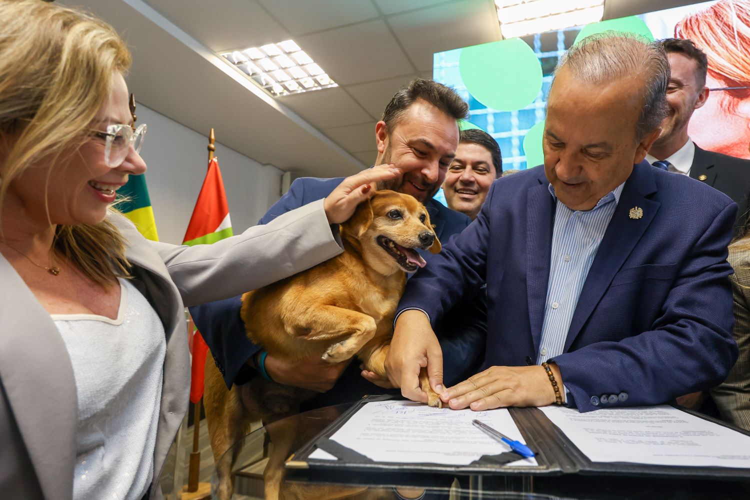 Governador Jorginho Mello lança maior programa estadual de castração animal do país